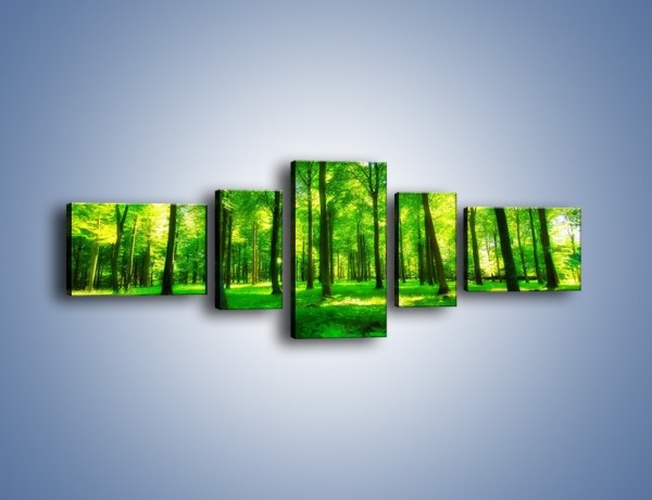 Obraz na płótnie – Dywan z zielonych paproci – pięcioczęściowy KN850W6
