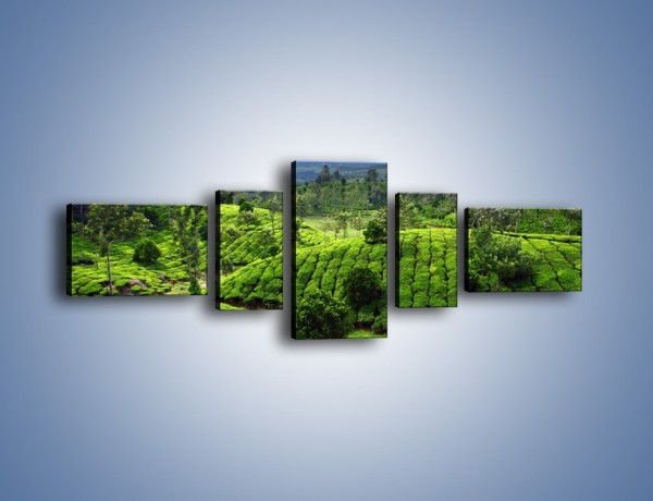 Obraz na płótnie – Rozległa zielona kraina – pięcioczęściowy KN872W6