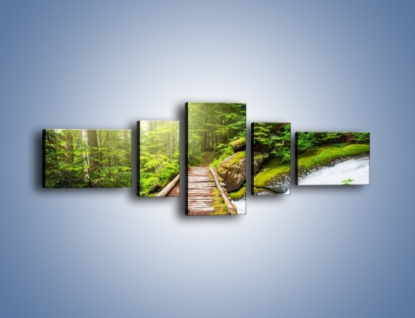 Obraz na płótnie – Bezpieczna droga przez las – pięcioczęściowy KN922W6