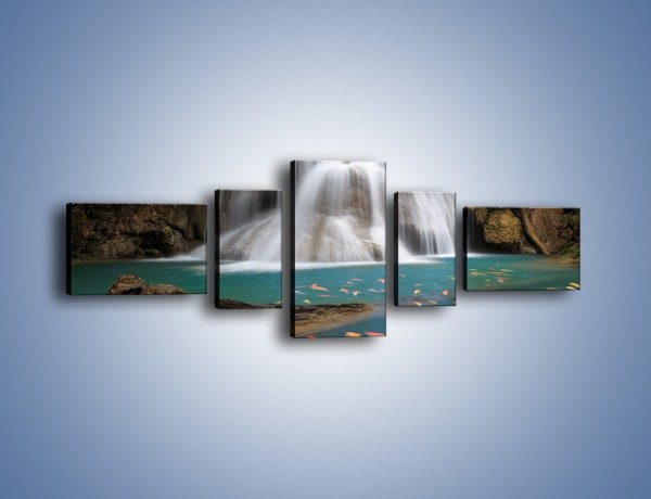 Obraz na płótnie – Wodospad i kolorowe rybki – pięcioczęściowy KN994W6