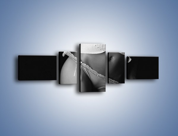 Obraz na płótnie – Króciutka bluzeczka i koronki – pięcioczęściowy L235W6