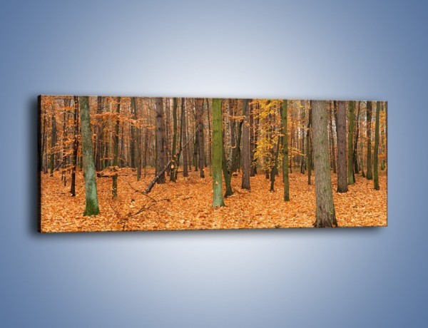 Obraz na płótnie – Las obsypany jesiennymi liśćmi – jednoczęściowy panoramiczny KN396