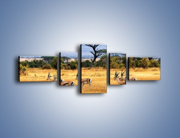 Obraz na płótnie – Antylopy w słonecznej afryce – pięcioczęściowy Z003W6