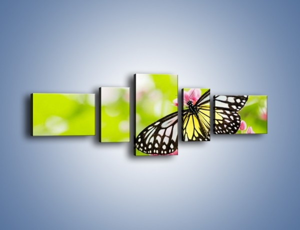Obraz na płótnie – Motyl w letni poranek – pięcioczęściowy Z004W6