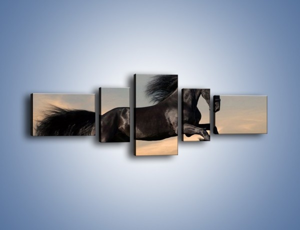 Obraz na płótnie – Czarny koń w galopie – pięcioczęściowy Z008W6