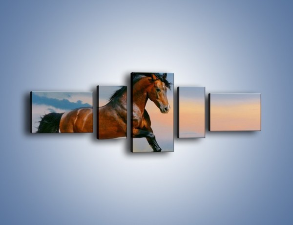 Obraz na płótnie – Brązowy koń na pustyni – pięcioczęściowy Z011W6