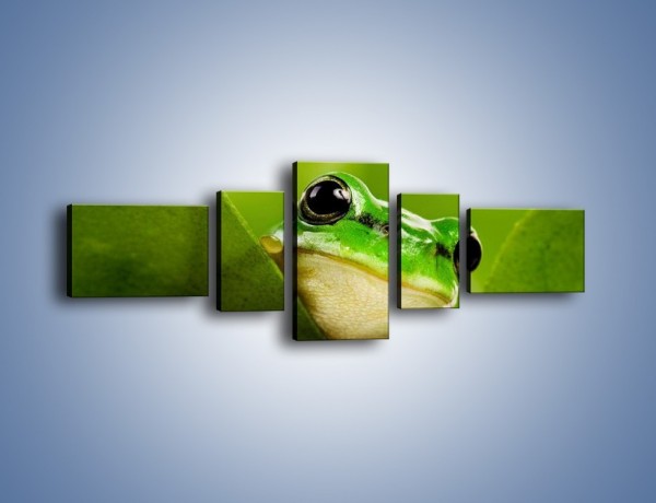 Obraz na płótnie – Zielony świat żabki – pięcioczęściowy Z014W6