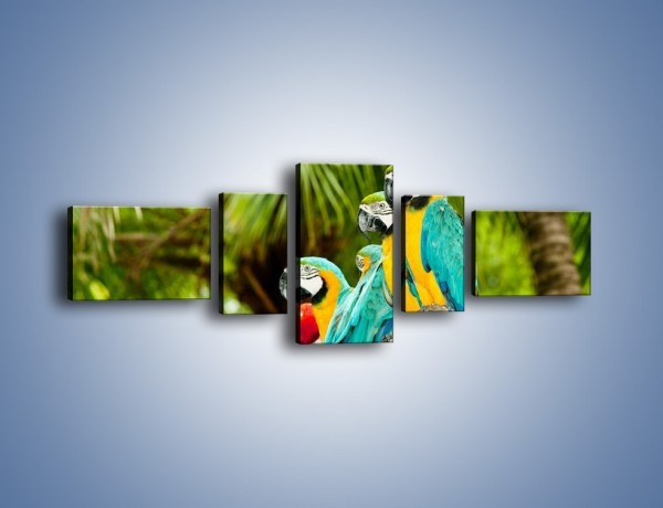 Obraz na płótnie – Kolorowe papugi w szeregu – pięcioczęściowy Z029W6