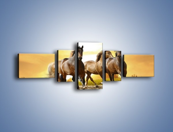 Obraz na płótnie – Rozpędzone konne stado – pięcioczęściowy Z030W6