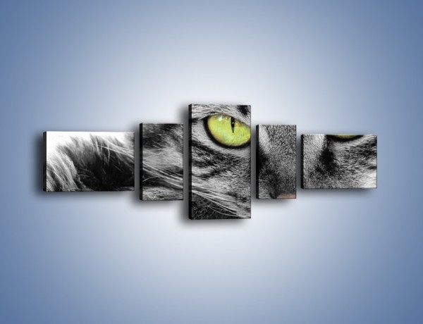 Obraz na płótnie – Obserwujący koci wzrok – pięcioczęściowy Z031W6