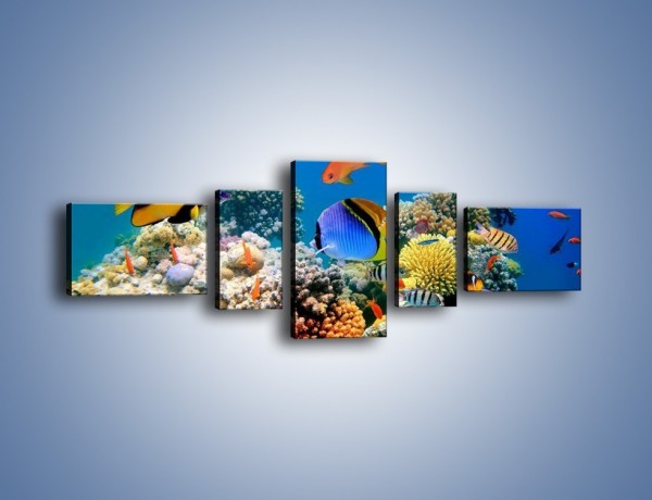 Obraz na płótnie – Wodny świat ryb – pięcioczęściowy Z041W6