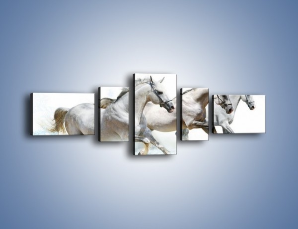 Obraz na płótnie – Końskie trio w zimowym pędzie – pięcioczęściowy Z063W6