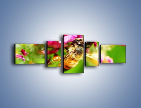 Obraz na płótnie – Pszczoły kochają kwiaty – pięcioczęściowy Z065W6