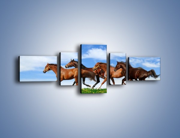 Obraz na płótnie – Galopujące stado brązowych koni – pięcioczęściowy Z172W6