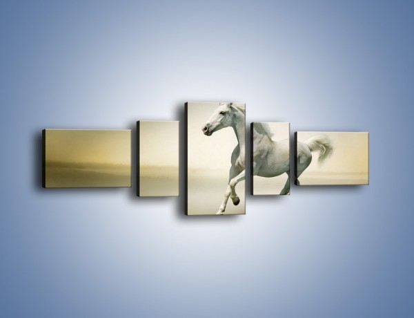 Obraz na płótnie – Samotny wieczór z białym koniem – pięcioczęściowy Z175W6