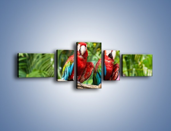 Obraz na płótnie – Papużki nierozłączki – pięcioczęściowy Z188W6