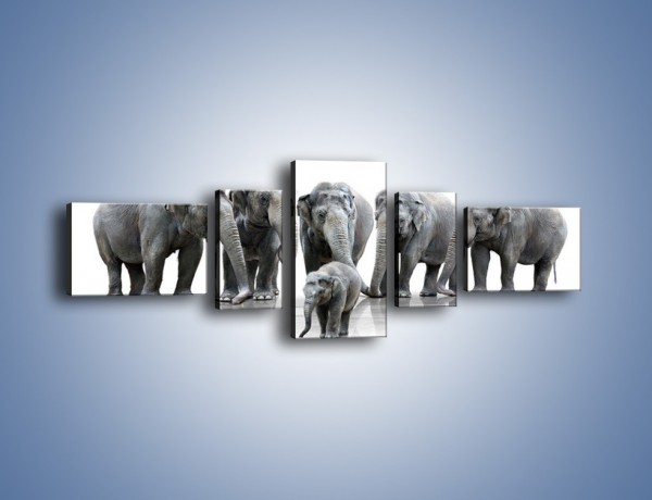 Obraz na płótnie – Na przyjęciu u słoniątka – pięcioczęściowy Z209W6