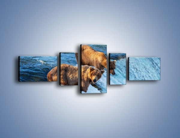 Obraz na płótnie – Niedźwiedzie na zjeżdżalni – pięcioczęściowy Z213W6