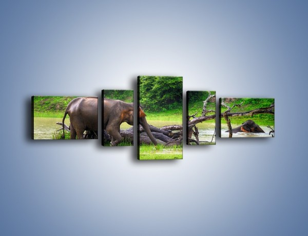 Obraz na płótnie – Kąpiel ze słoniem – pięcioczęściowy Z216W6