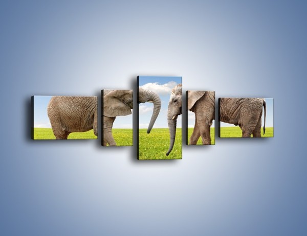 Obraz na płótnie – Poważne rozmowy słoni – pięcioczęściowy Z228W6
