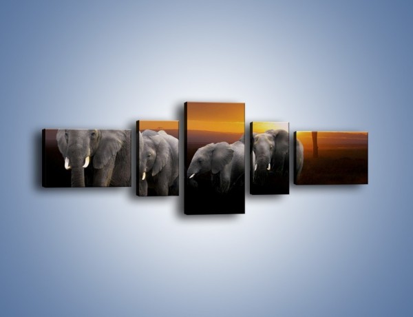 Obraz na płótnie – Powrót słoni do domu – pięcioczęściowy Z229W6