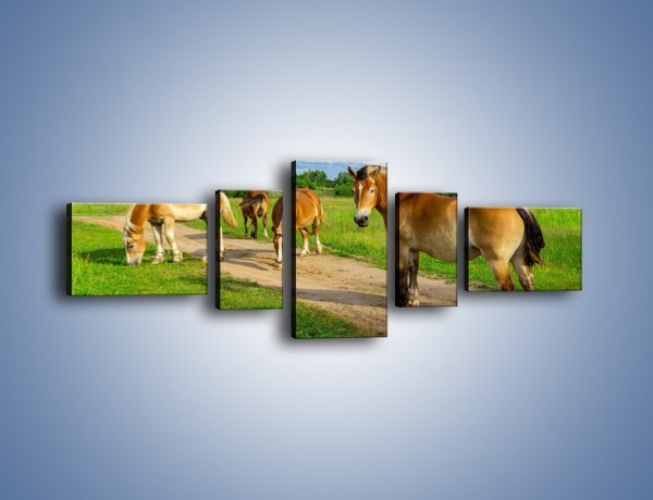 Obraz na płótnie – Konie z gospodarstwa – pięcioczęściowy Z242W6