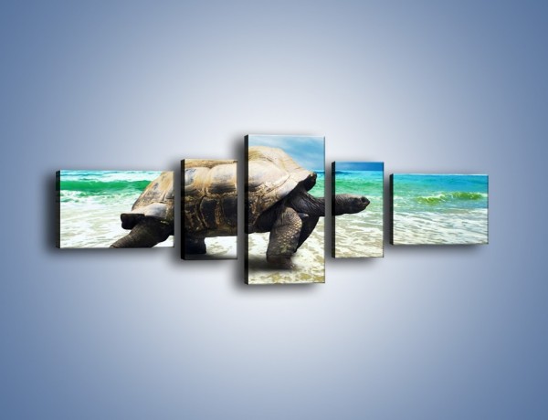 Obraz na płótnie – Jak tu nie kochać żółwi – pięcioczęściowy Z251W6
