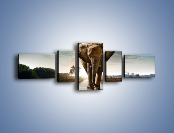 Obraz na płótnie – Słoń w poszukiwaniu rodziny – pięcioczęściowy Z256W6
