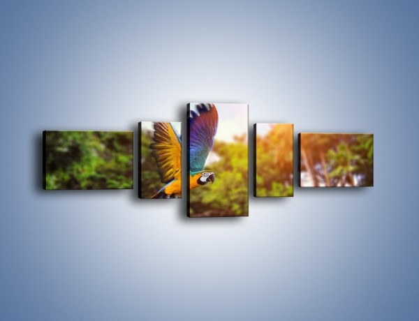Obraz na płótnie – Kolorowa papuga w locie – pięcioczęściowy Z280W6