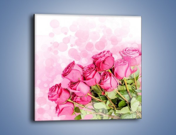 Obraz na płótnie – Słodkie bąbelkowe róże – jednoczęściowy kwadratowy K261