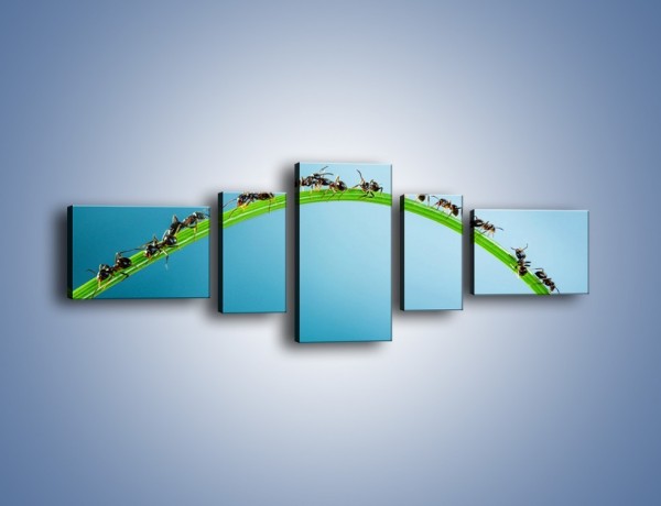 Obraz na płótnie – Mrówki na zielonym moście – pięcioczęściowy Z336W6