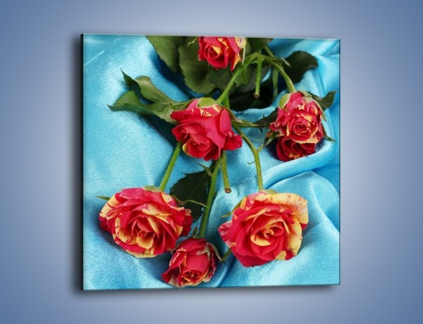 Obraz na płótnie – Róże na poważnie – jednoczęściowy kwadratowy K262