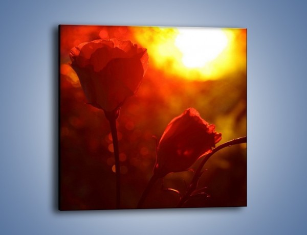 Obraz na płótnie – Słońce czy róża – jednoczęściowy kwadratowy K264
