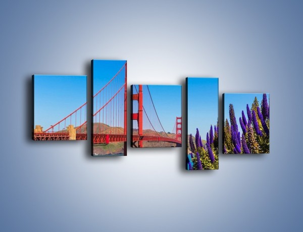 Obraz na płótnie – Golden Gate pod błękitnym niebem – pięcioczęściowy AM644W7