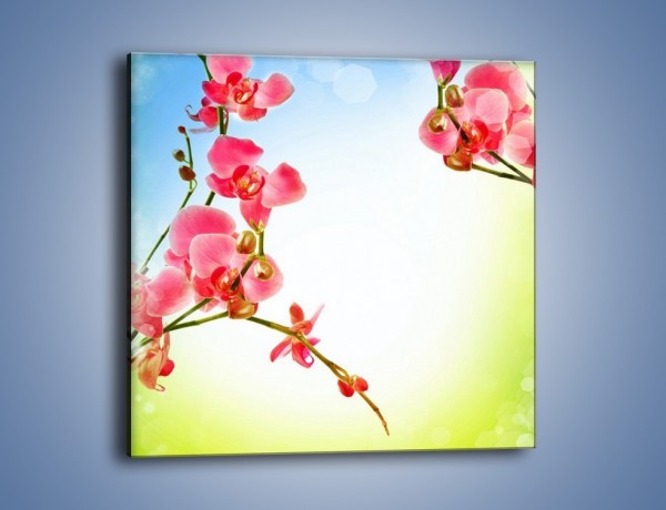 Obraz na płótnie – Akcent kwiatowy – jednoczęściowy kwadratowy K268