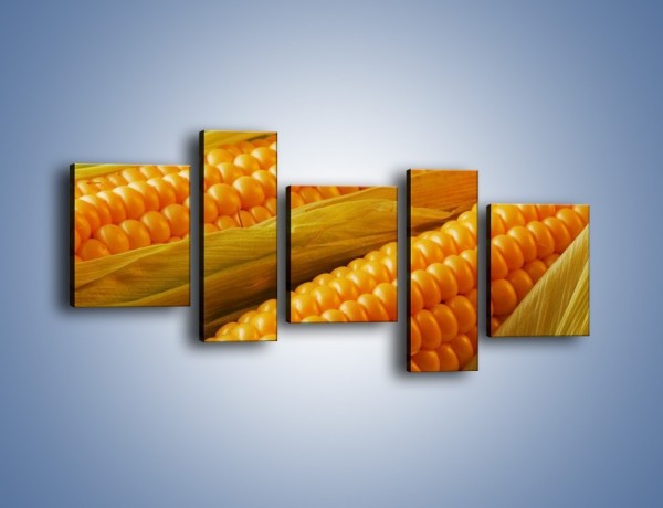 Obraz na płótnie – Kolby dojrzałych kukurydz – pięcioczęściowy JN046W7