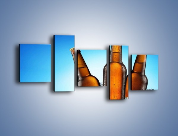 Obraz na płótnie – Szron na butelkach piwa – pięcioczęściowy JN075W7