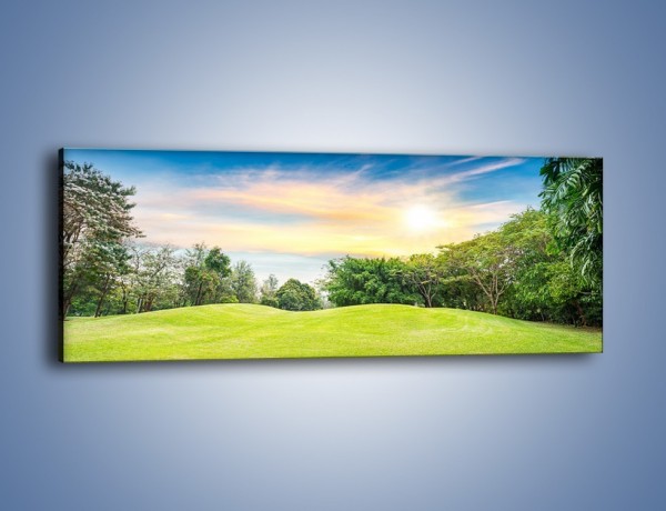Obraz na płótnie – Faliste podłoże w zieleni – jednoczęściowy panoramiczny KN495