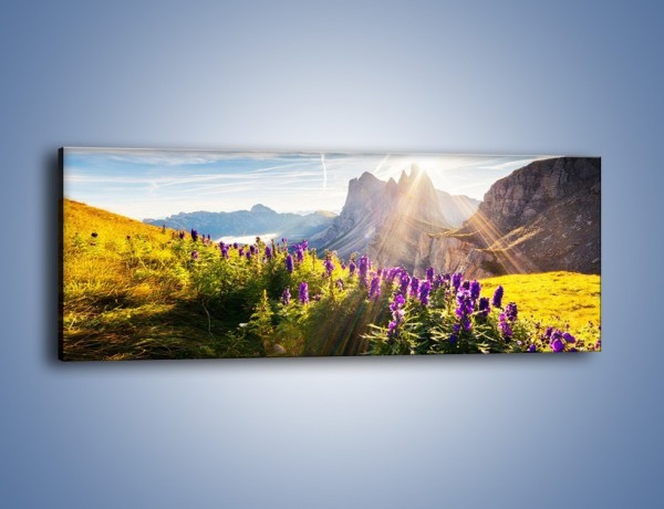 Obraz na płótnie – Góry w poświacie słońca – jednoczęściowy panoramiczny KN502