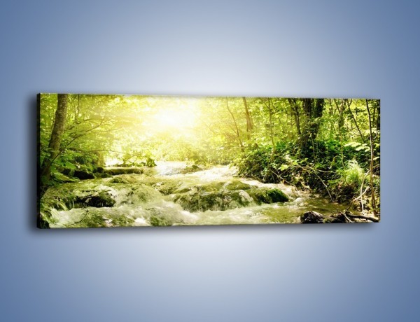 Obraz na płótnie – Wzburzony potok leśny – jednoczęściowy panoramiczny KN508