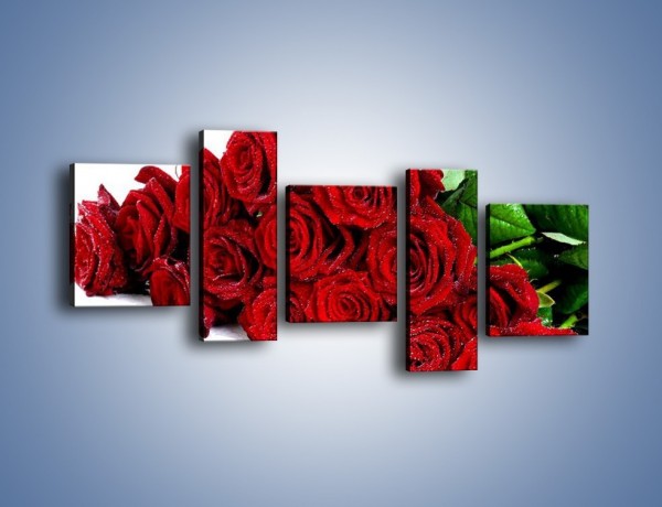 Obraz na płótnie – Oszronione czerwone róże – pięcioczęściowy K047W7