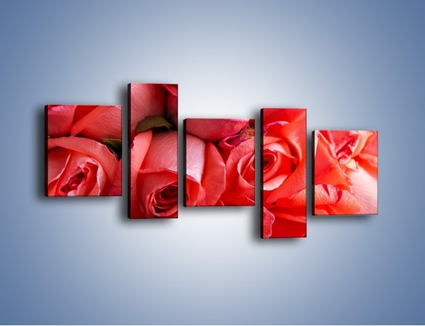 Obraz na płótnie – Tylko widoczne róże – pięcioczęściowy K1004W7