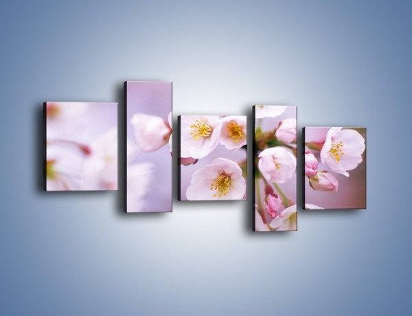 Obraz na płótnie – Gałązka kwiatów jabłoni – pięcioczęściowy K102W7