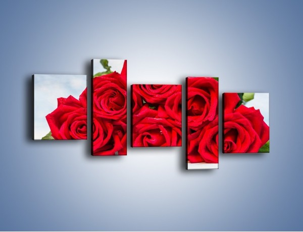 Obraz na płótnie – Czerwone róże bez kolców – pięcioczęściowy K1021W7