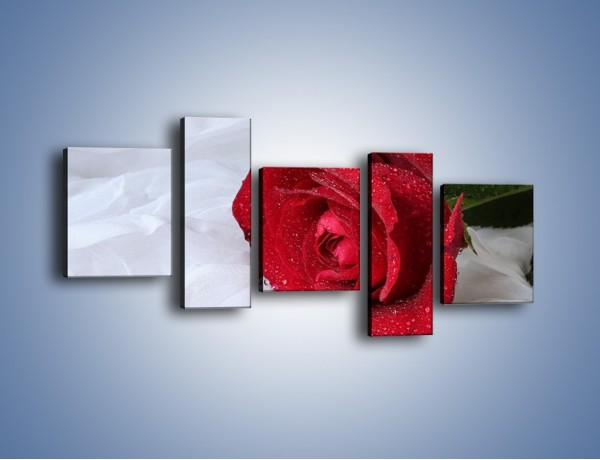 Obraz na płótnie – Bordowa róża na białej pościeli – pięcioczęściowy K1023W7