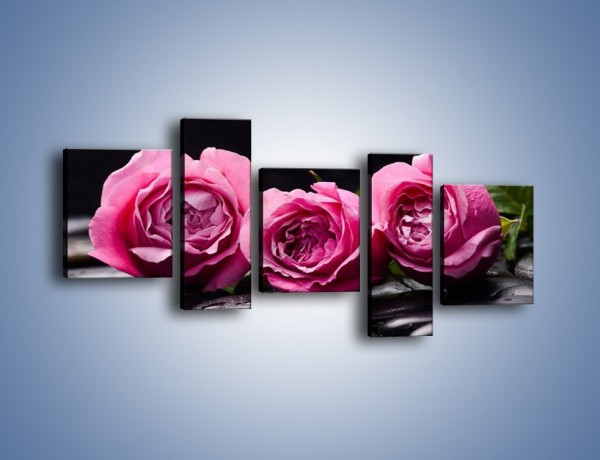 Obraz na płótnie – Malutkie różane trio – pięcioczęściowy K1027W7