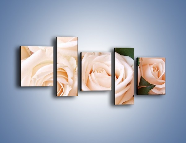 Obraz na płótnie – Liść wśród bezowych róż – pięcioczęściowy K104W7