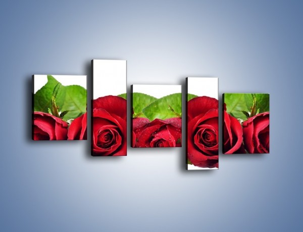 Obraz na płótnie – Pięknie ułożone róże – pięcioczęściowy K108W7