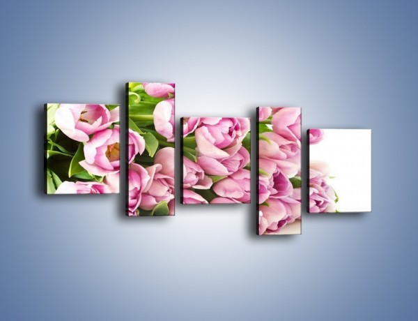 Obraz na płótnie – Ścięte tulipany w bieli – pięcioczęściowy K110W7