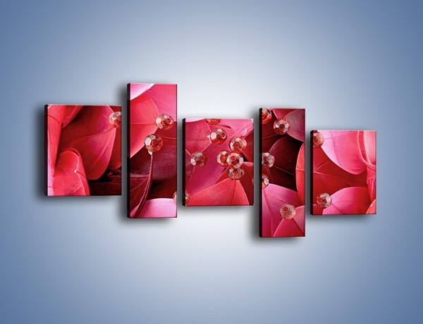 Obraz na płótnie – Koraliki wśród kwiatowych piór – pięcioczęściowy K134W7